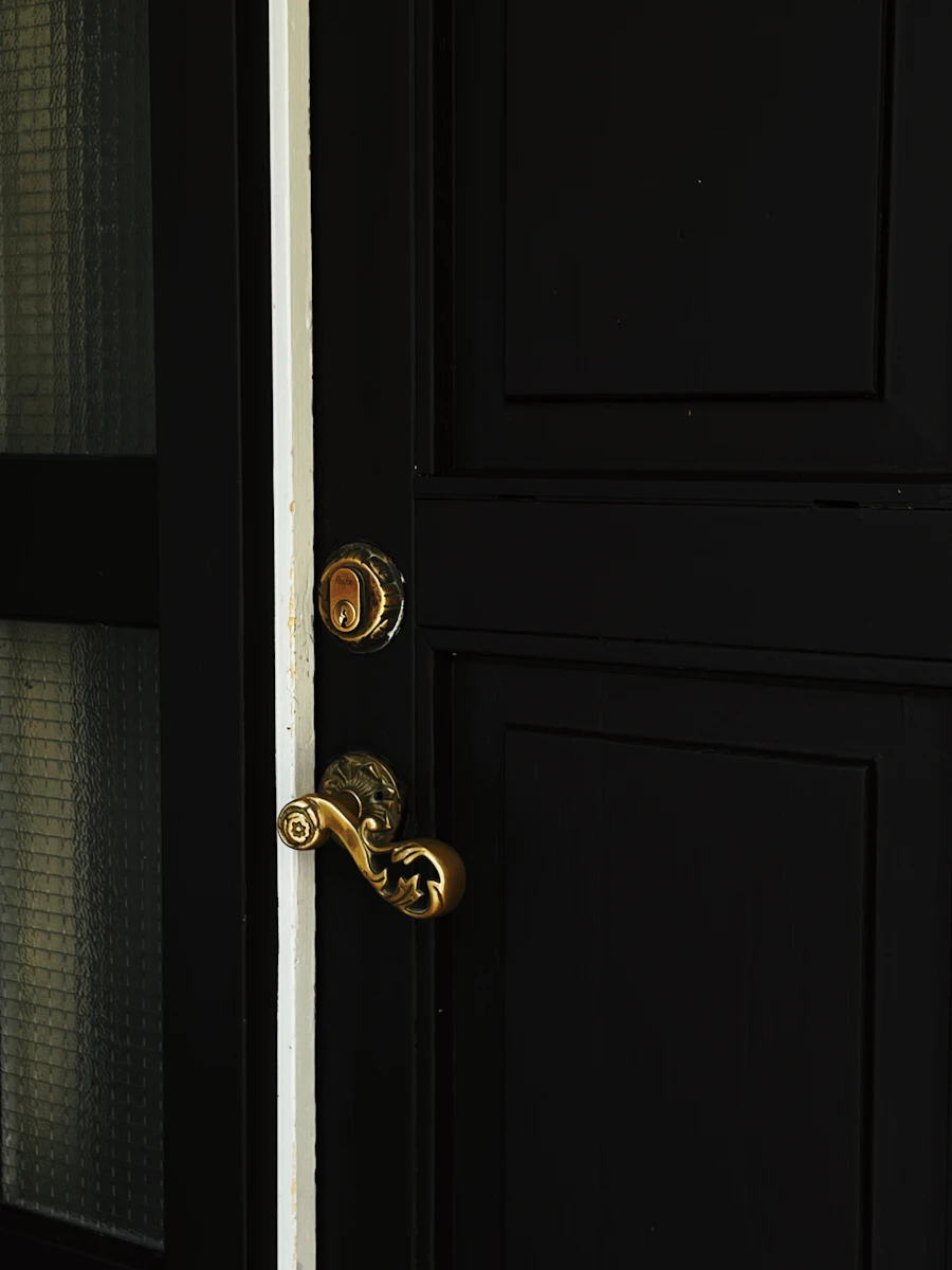Brass knob on a black panel door