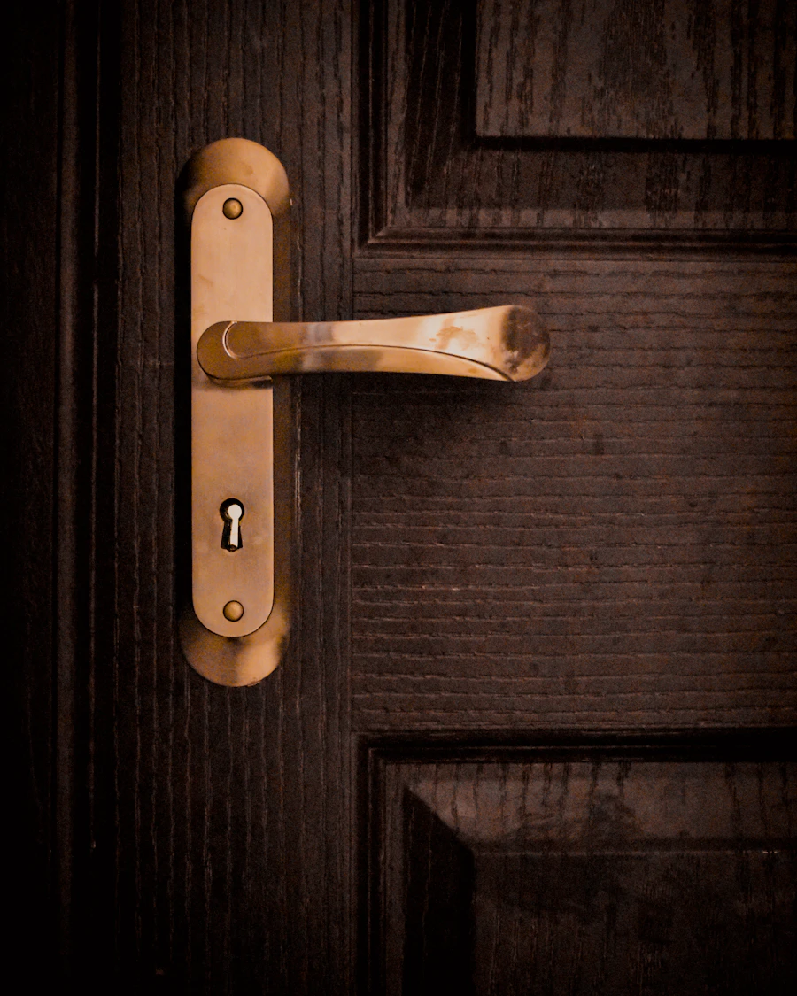 Brass door lever